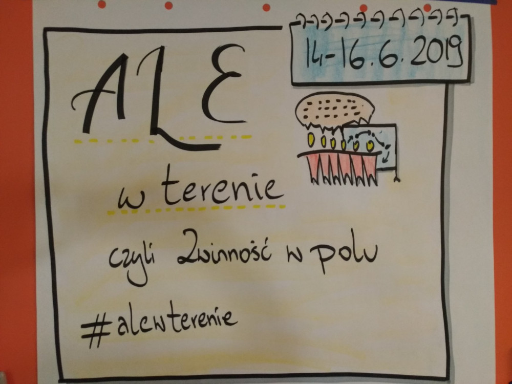 ALE w terenie foto nr 2